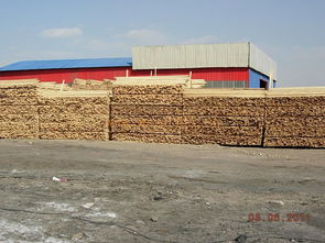 撫順南雜木材市場批發木材,同時批發竹膠板木模板橋梁板鐵路專用