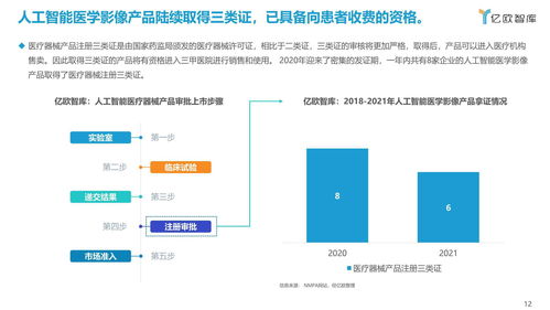 2021年中國(guó)人工智能醫(yī)學(xué)影像企業(yè)應(yīng)用軟件開(kāi)發(fā)發(fā)展報(bào)告